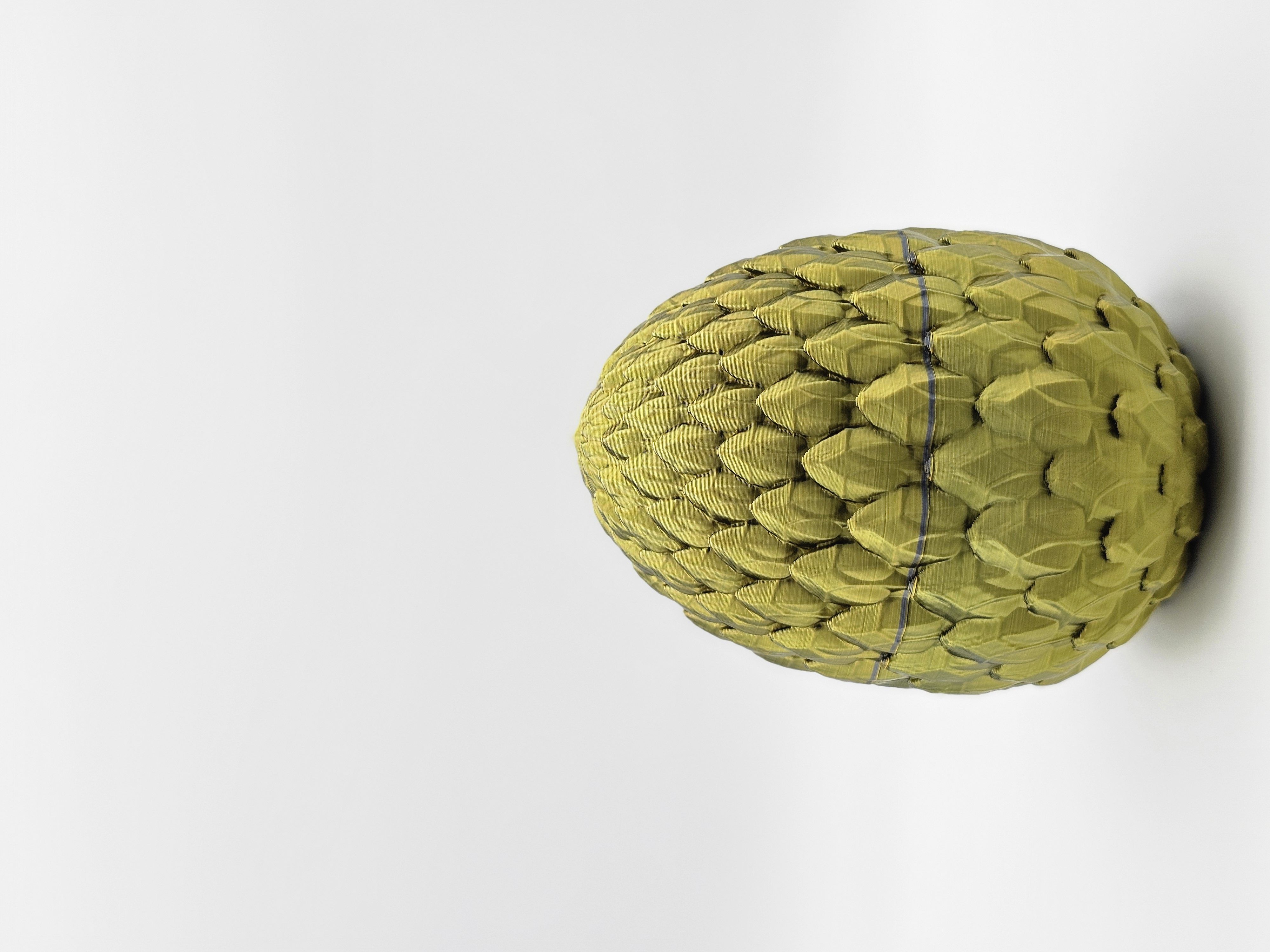 EGG-006-67d2346929618a8cc2364dd7